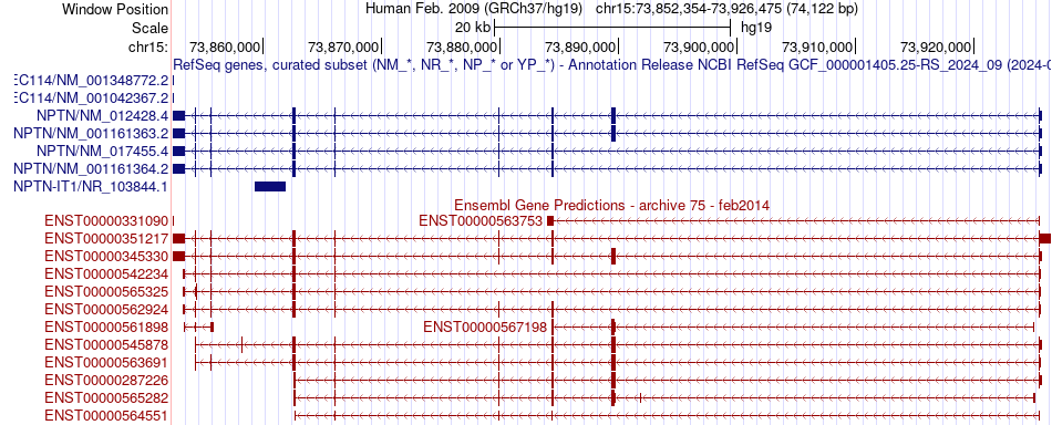 gene isoform structure of NPTN