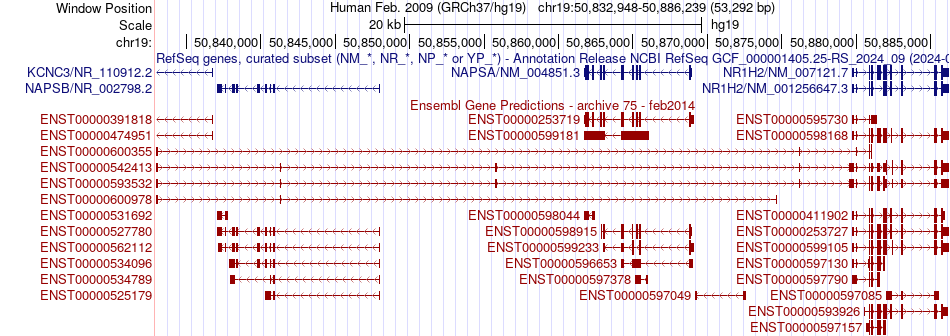 gene isoform structure of NR1H2