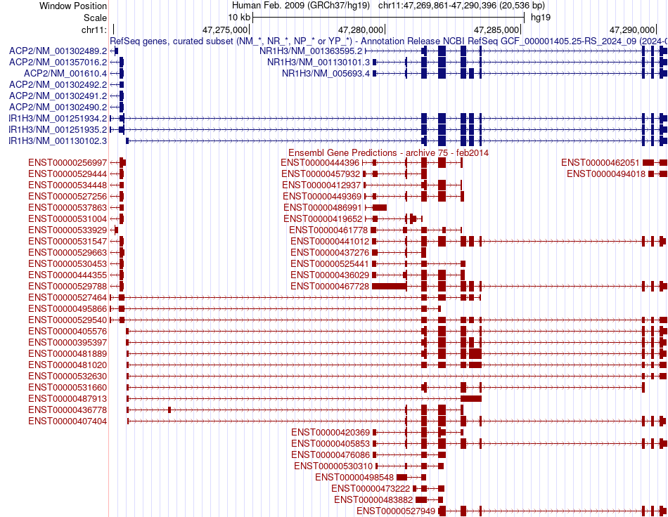 gene isoform structure of NR1H3