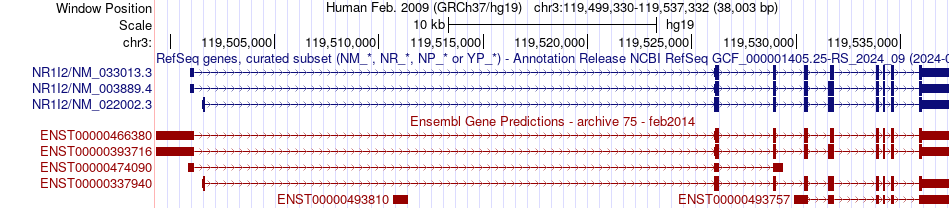 gene isoform structure of NR1I2