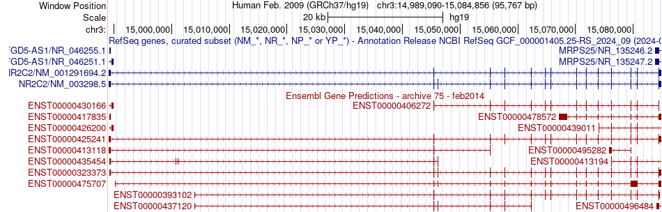 gene isoform structure of NR2C2