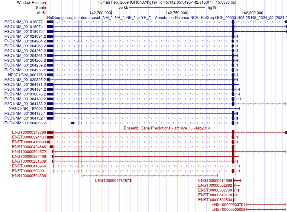 gene isoform structure of NR3C1