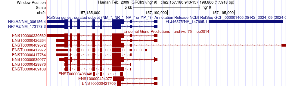 gene isoform structure of NR4A2
