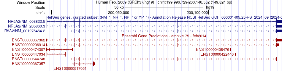 gene isoform structure of NR5A2