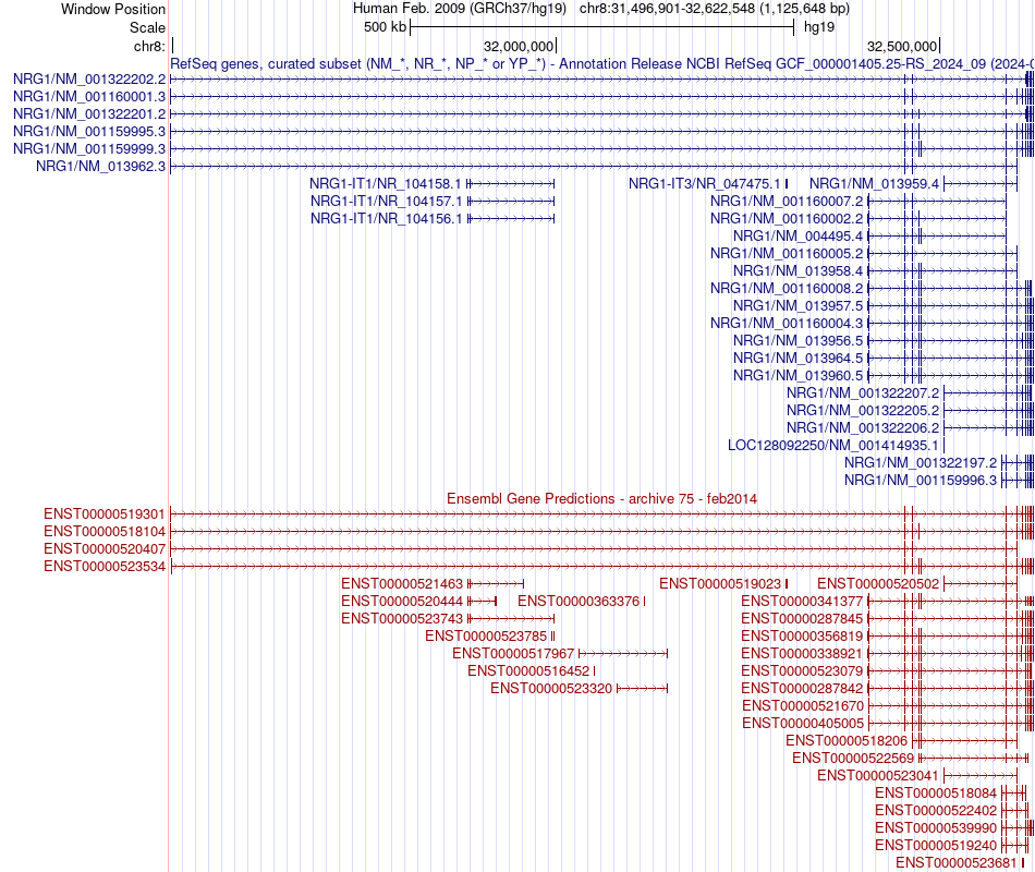gene isoform structure of NRG1