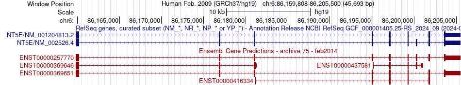 gene isoform structure of NT5E