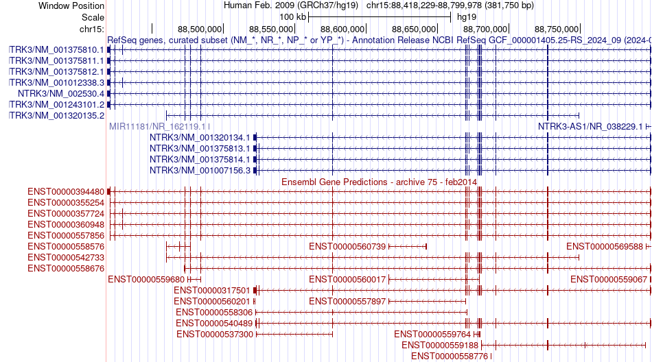 gene isoform structure of NTRK3