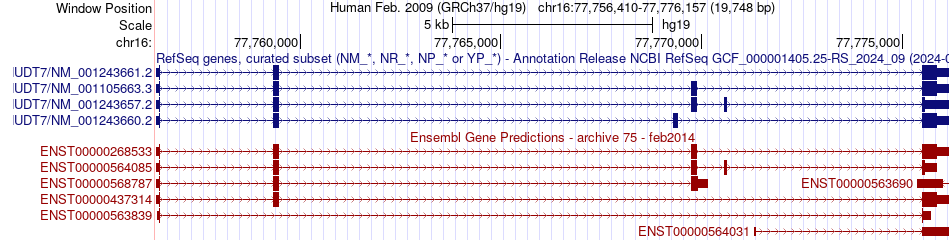 gene isoform structure of NUDT7