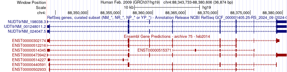 gene isoform structure of NUDT9