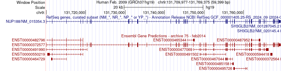 gene isoform structure of NUP188