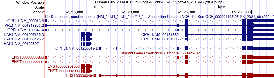 gene isoform structure of OPRL1