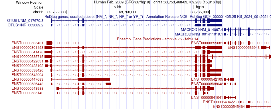 gene isoform structure of OTUB1