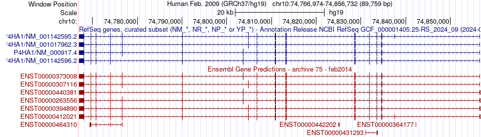 gene isoform structure of P4HA1