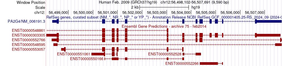 gene isoform structure of PA2G4