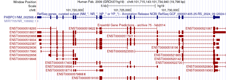 gene isoform structure of PABPC1