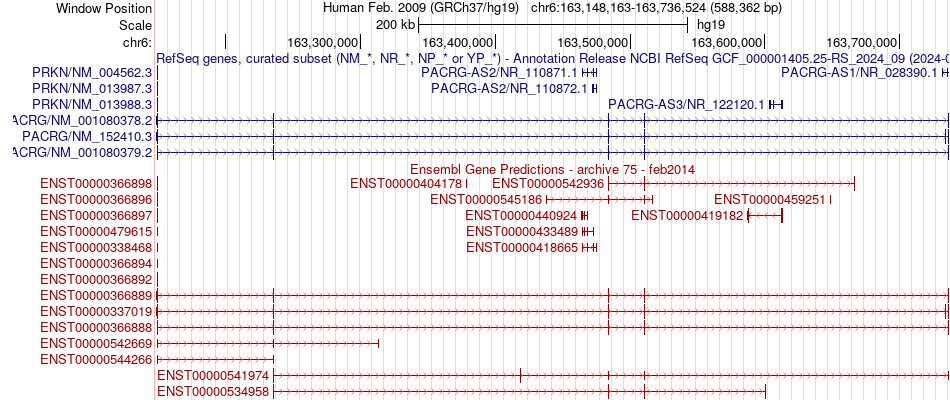 gene isoform structure of PACRG