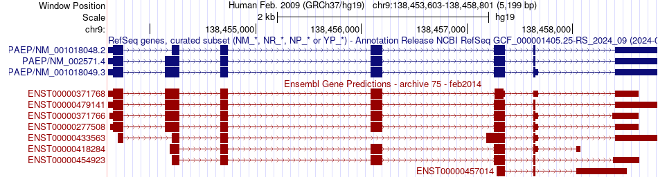 gene isoform structure of PAEP