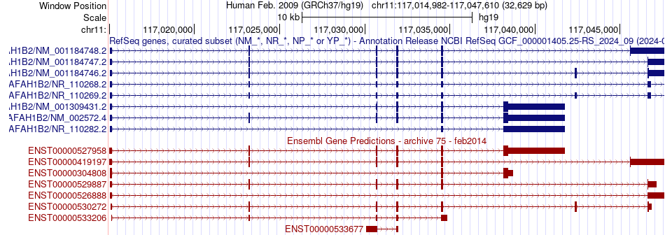 gene isoform structure of PAFAH1B2