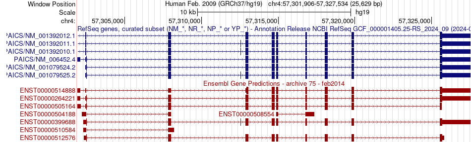 gene isoform structure of PAICS
