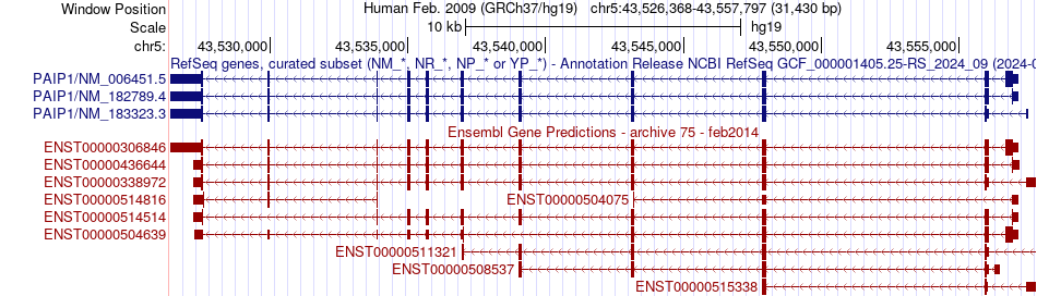 gene isoform structure of PAIP1