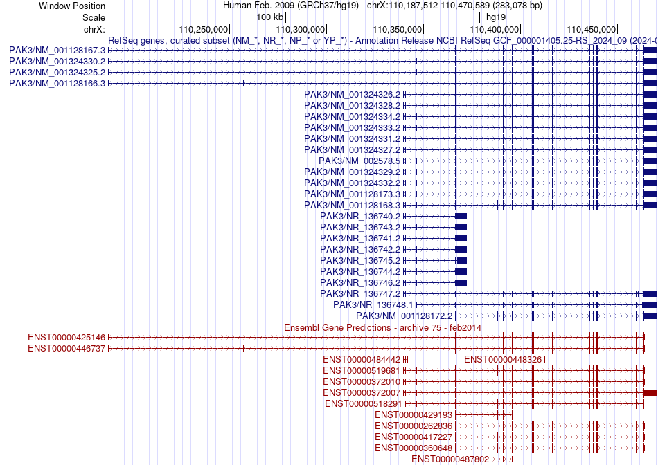 gene isoform structure of PAK3
