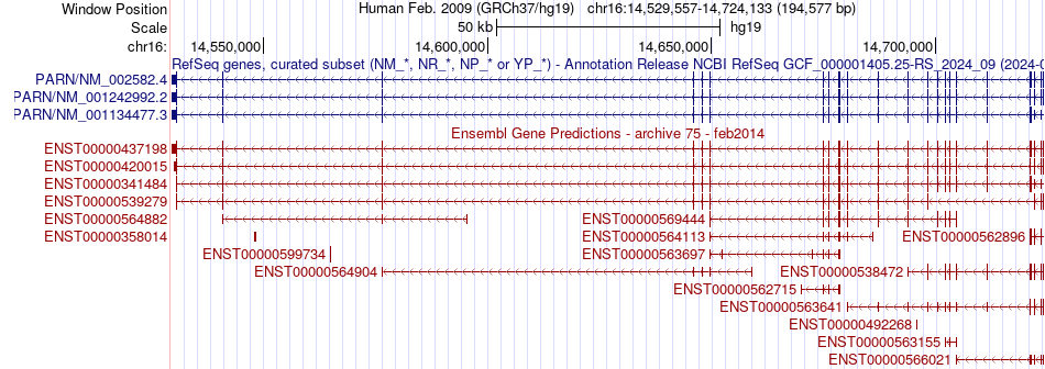 gene isoform structure of PARN