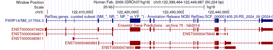 gene isoform structure of PARP14