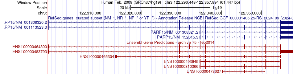 gene isoform structure of PARP15