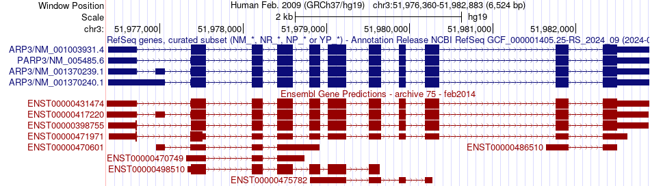 gene isoform structure of PARP3