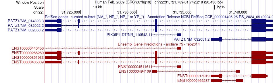 gene isoform structure of PATZ1