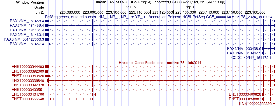 gene isoform structure of PAX3