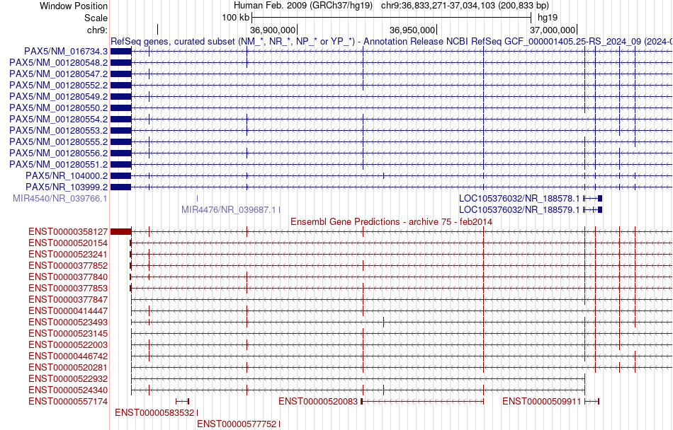 gene isoform structure of PAX5