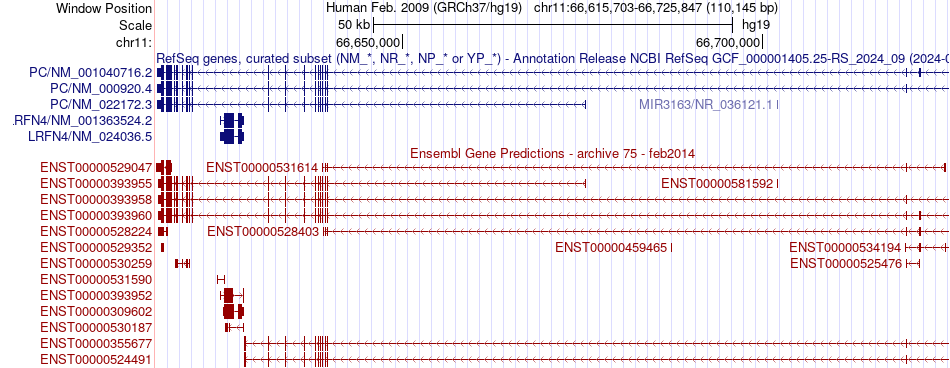 gene isoform structure of PC