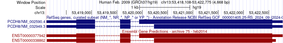 gene isoform structure of PCDH8