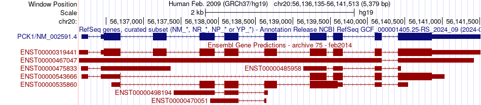 gene isoform structure of PCK1