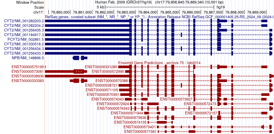 gene isoform structure of PCYT2