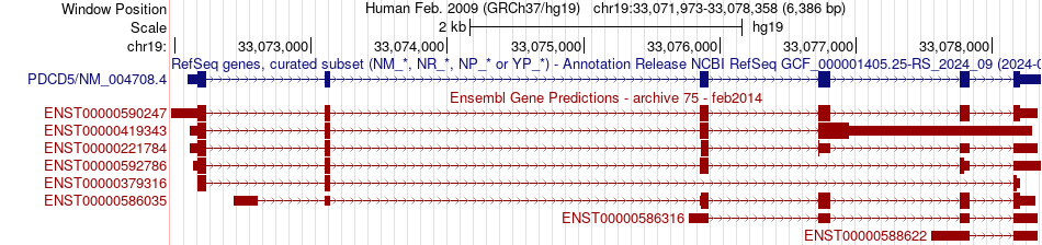 gene isoform structure of PDCD5
