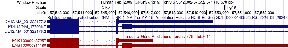 gene isoform structure of PDE12