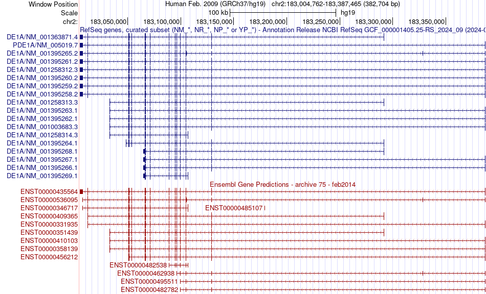 gene isoform structure of PDE1A