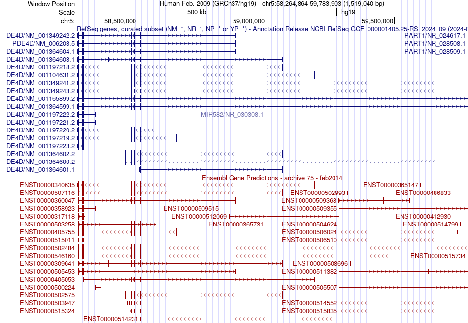 gene isoform structure of PDE4D