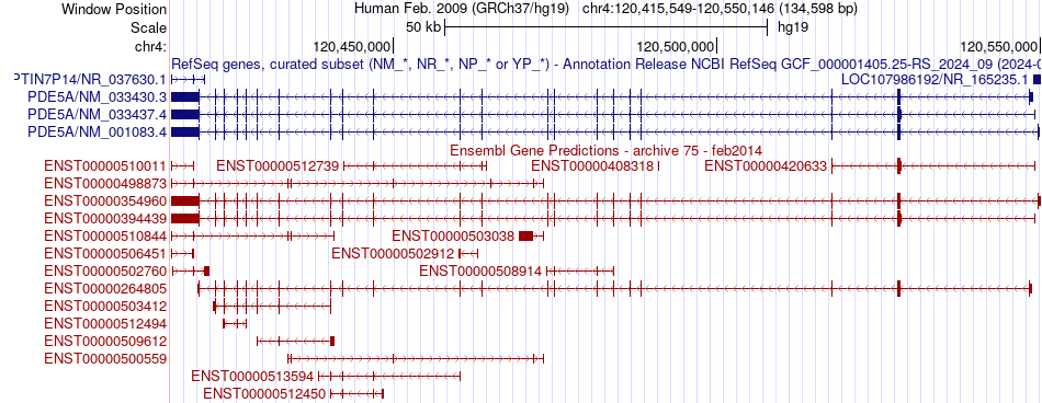 gene isoform structure of PDE5A