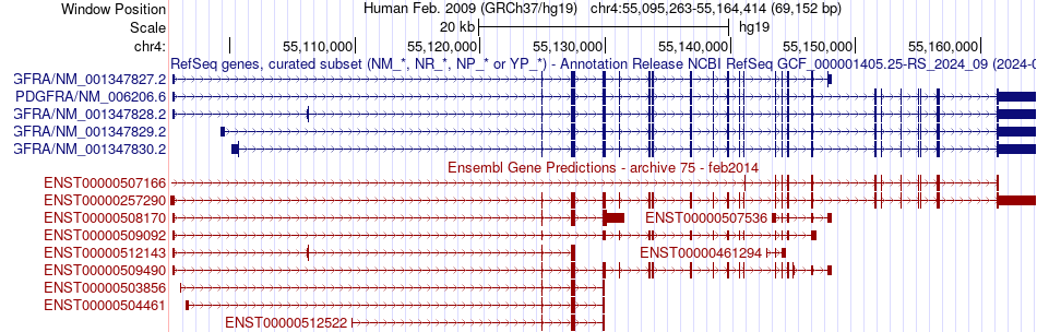 gene isoform structure of PDGFRA