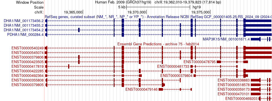 gene isoform structure of PDHA1