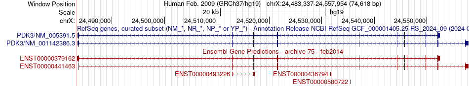 gene isoform structure of PDK3