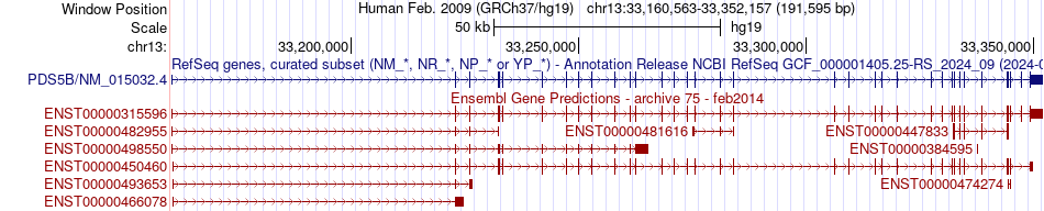 gene isoform structure of PDS5B