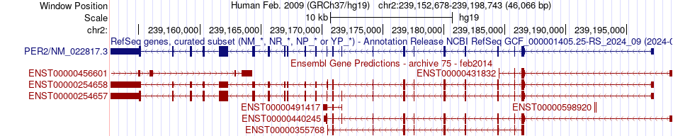 gene isoform structure of PER2
