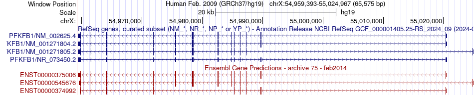 gene isoform structure of PFKFB1