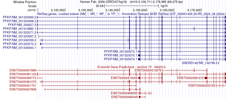 gene isoform structure of PFKP