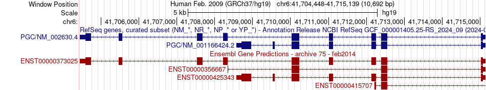 gene isoform structure of PGC