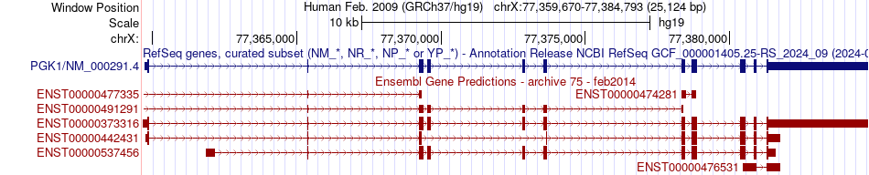 gene isoform structure of PGK1